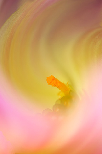 9037797510_ec40c35223_z.jpg