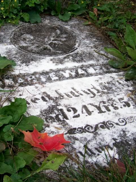 GravestonewithRedLeaf.jpg