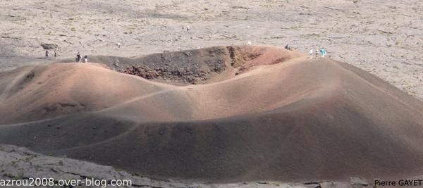 fourmis-volcan.jpg