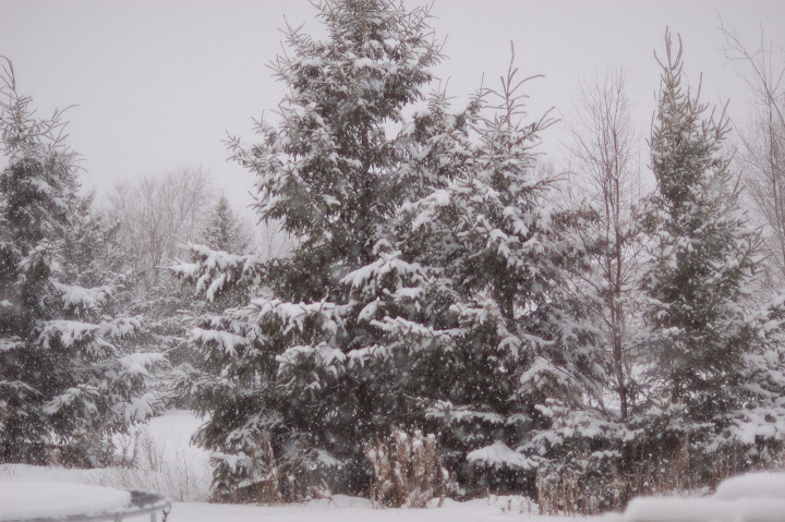 DSC_0029.JPG