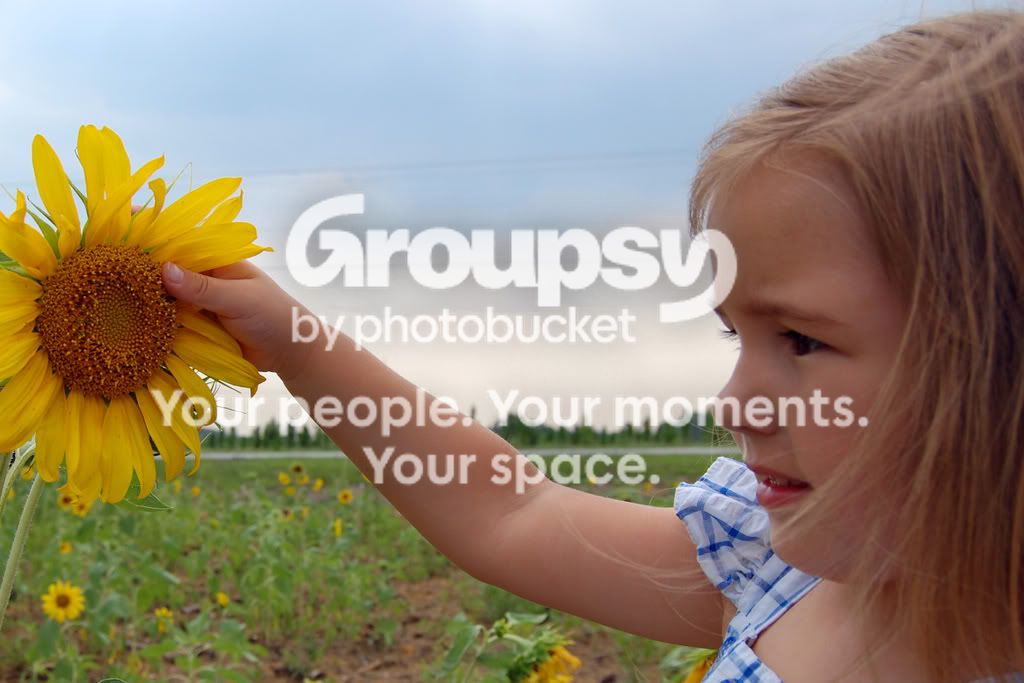 BalieeandSunflower.jpg