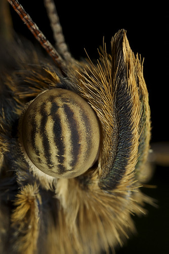 3163884913_4235e5a30d.jpg