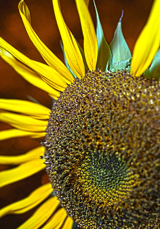 4896032323_3de4cf9911_o.jpg