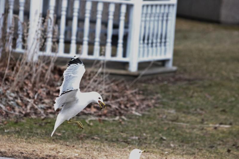 0772_zps6a86196f.jpg