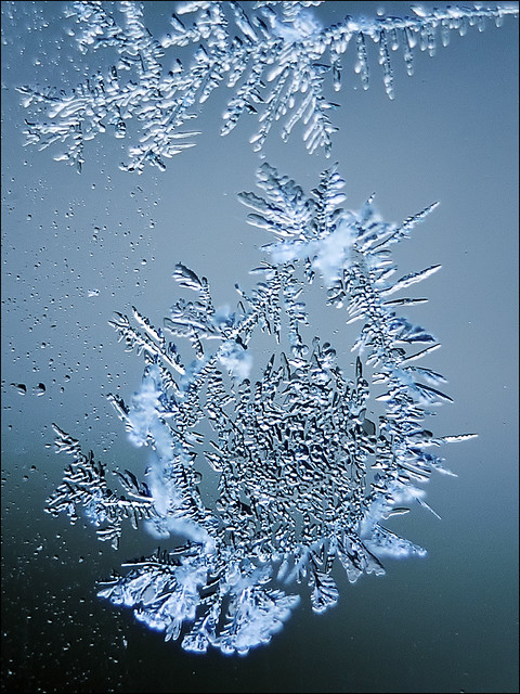 6845826903_578bb55159_z.jpg