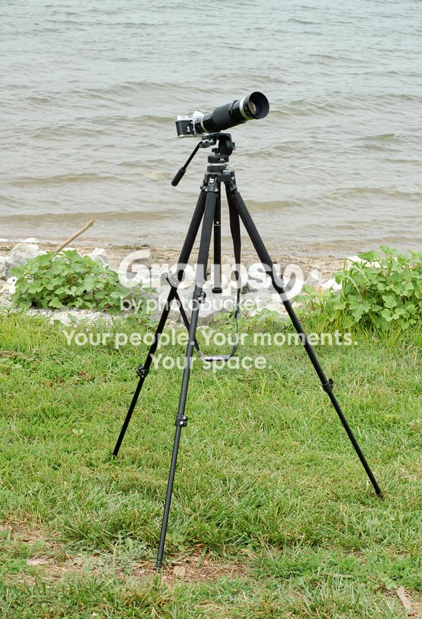 Nikkor85250002.jpg
