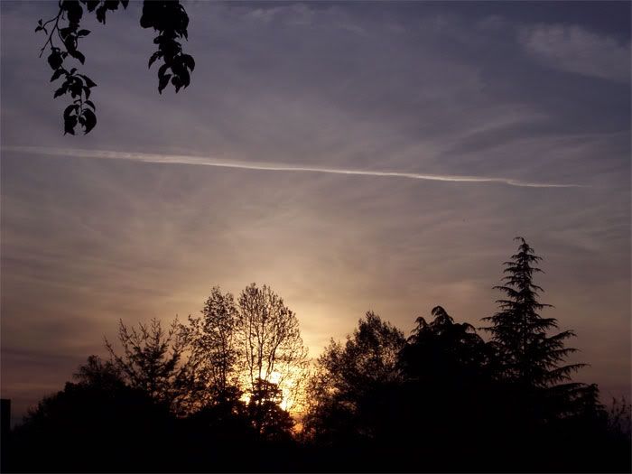 100_0713.jpg