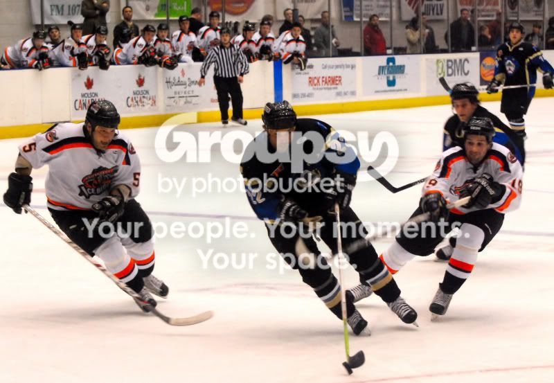 IceBears2100001.jpg