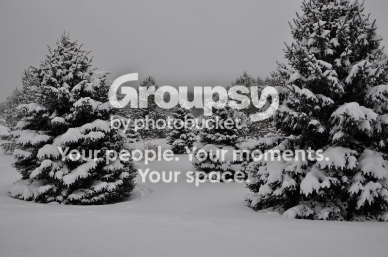 snowy007.jpg