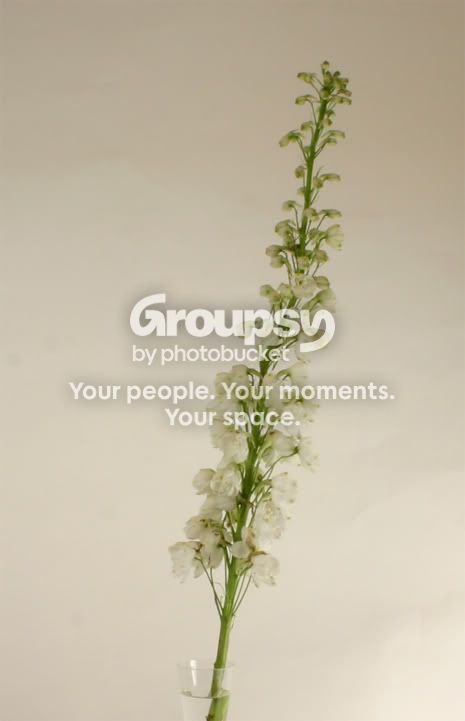 sample1.jpg