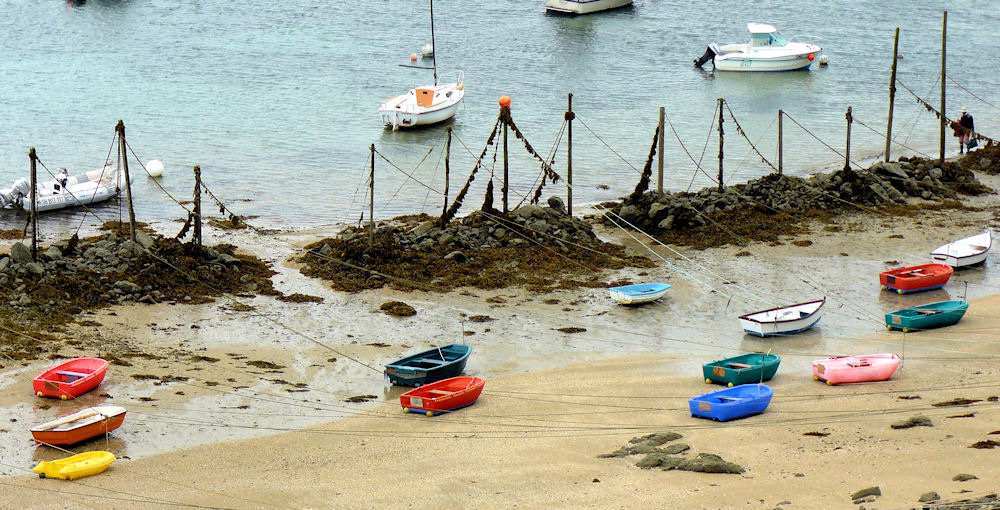20100826_29a.jpg