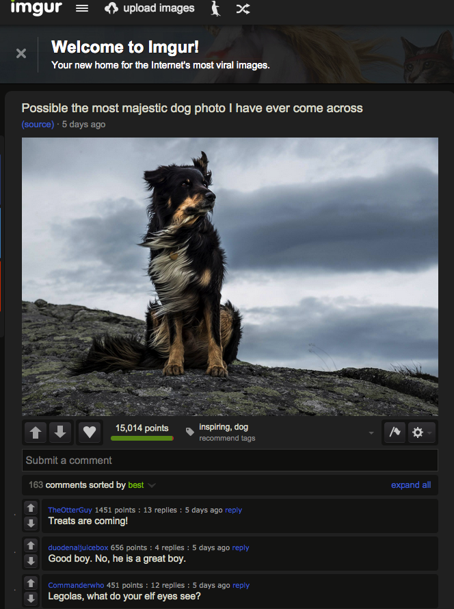 9vKQXIg.png