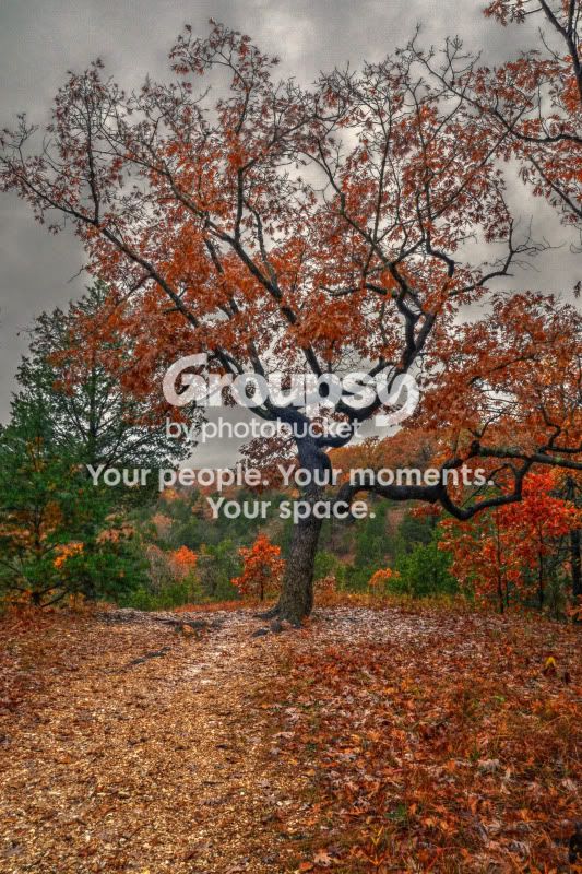 2009-10-22_33NXgrey.jpg