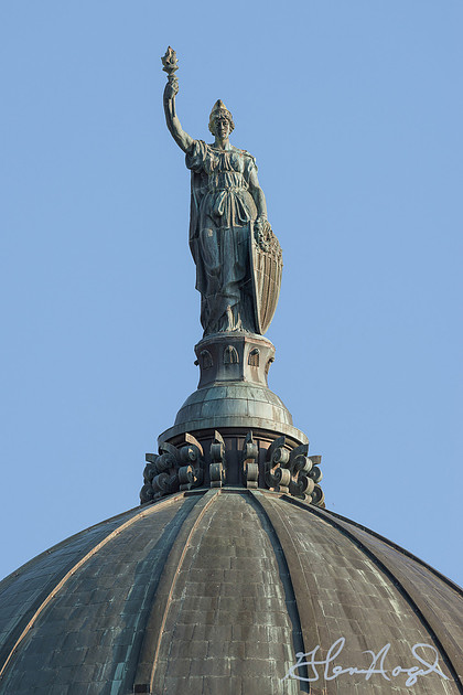p2484986396-4.jpg