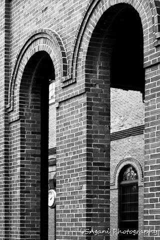_MG_1852.jpg