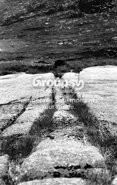 bw7-15.jpg