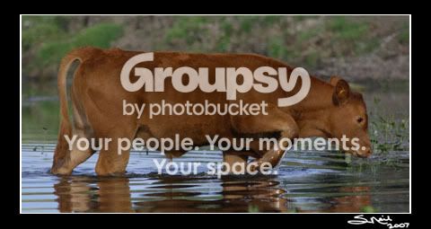 DPP_0561-web.jpg