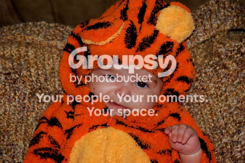 Tigger3.jpg
