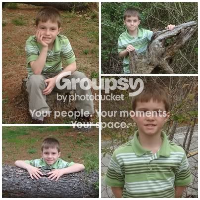 collage2.jpg