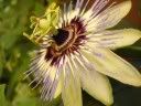 DSC05436.jpg