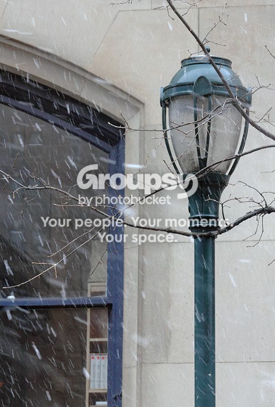snow122912.jpg