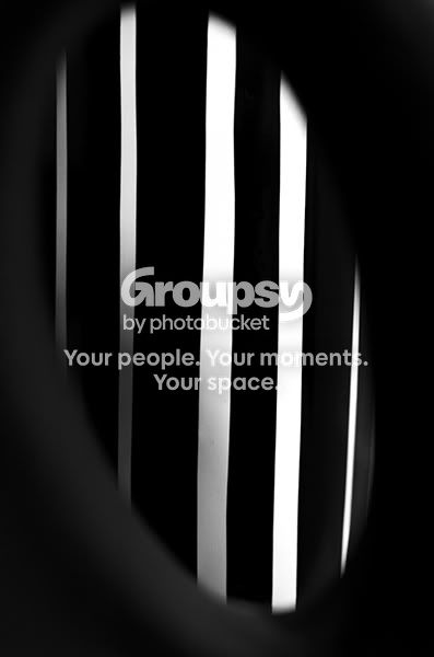 StripesinCircleWebVersion.jpg