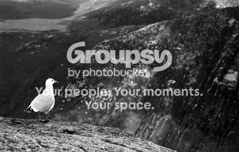 bw7-14.jpg
