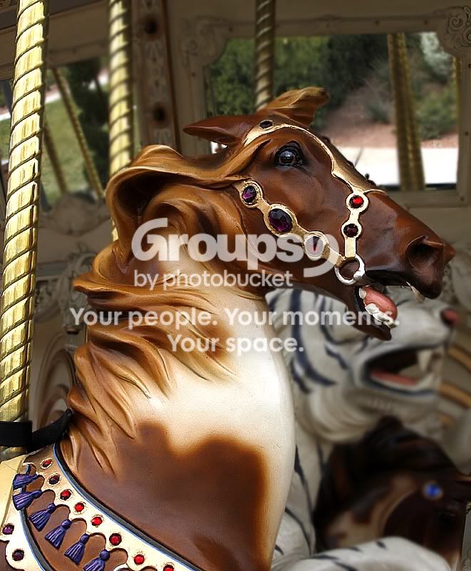 go-around_113.jpg