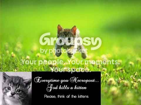 Necropost-kitten-1.jpg
