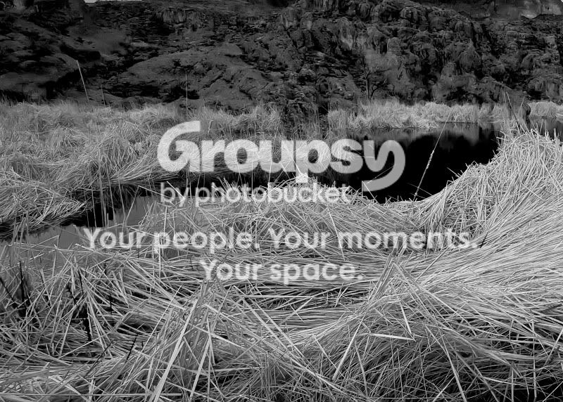 IMG_7172bw.jpg