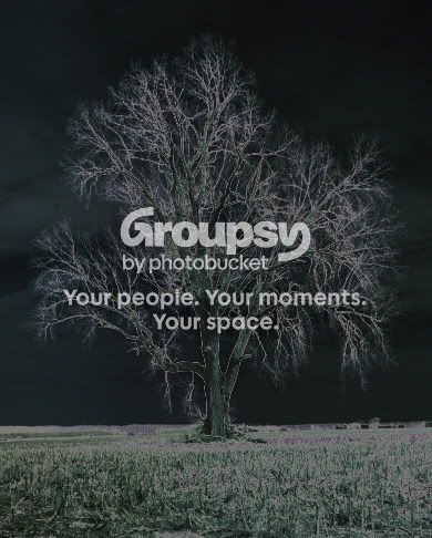 GnarleyTree.jpg