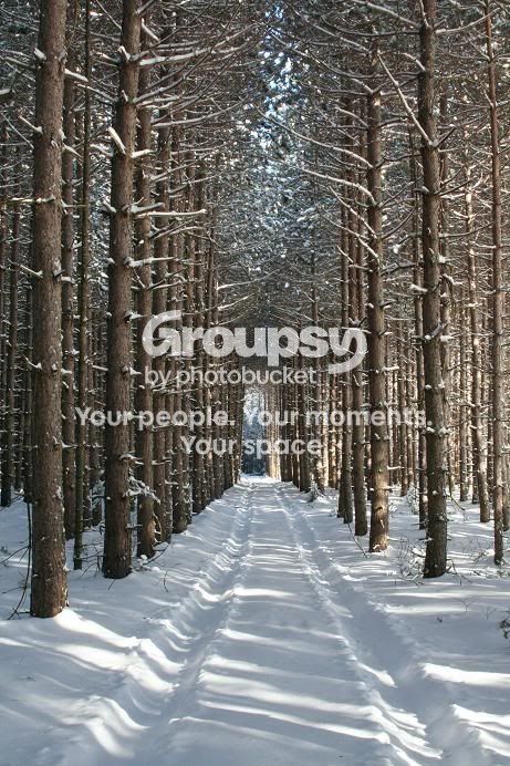 Snow9.jpg