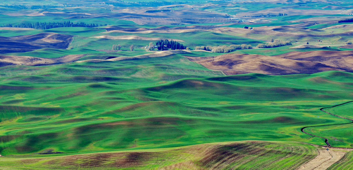 20130409_222b.jpg