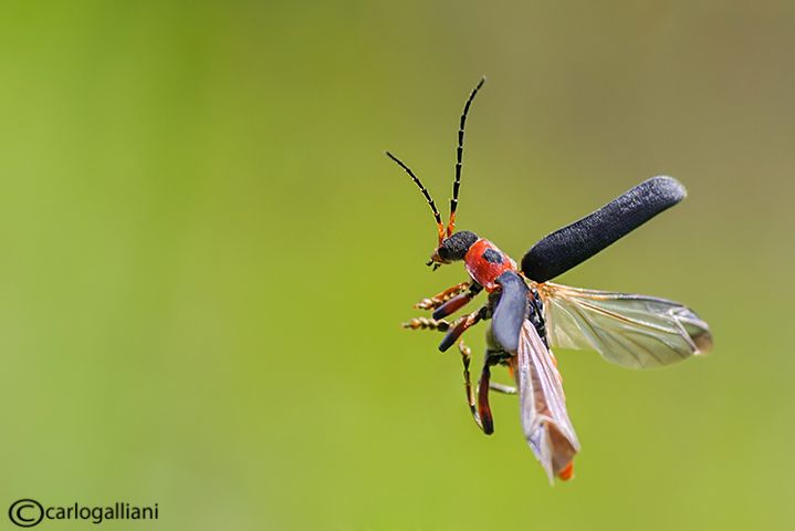 155142519_tuVwuiol_DSC_95091.jpg