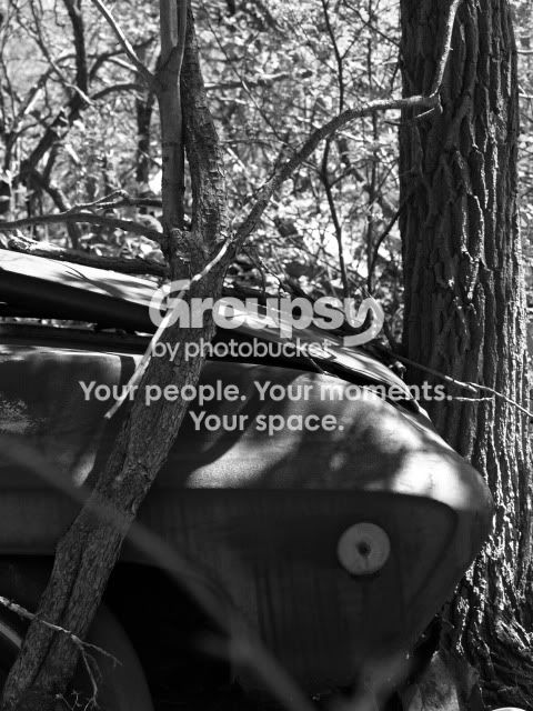 junkyard043.jpg