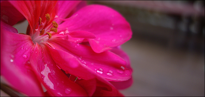 Beaded_Color_by_amnesic726.jpg