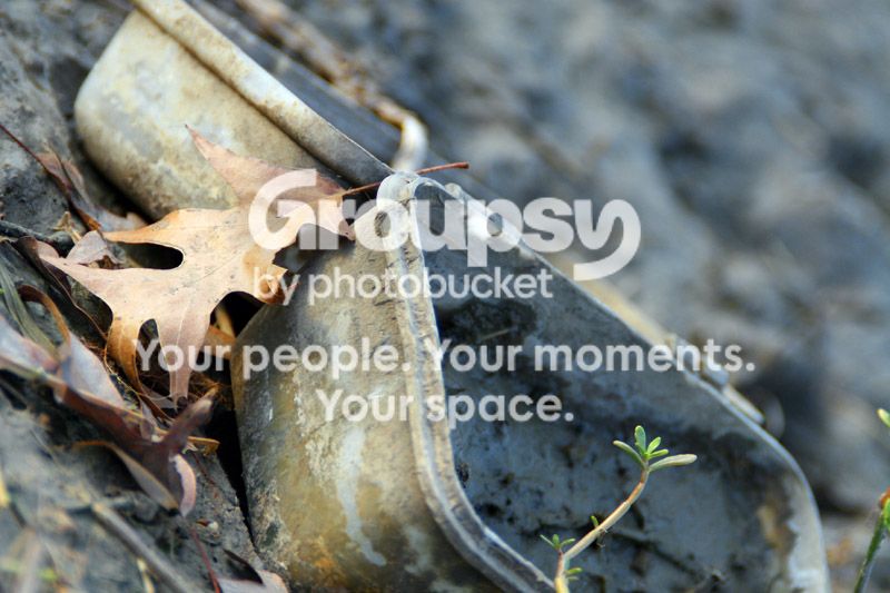 bucket.jpg