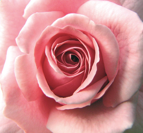 3616769285_e7e154eae4.jpg