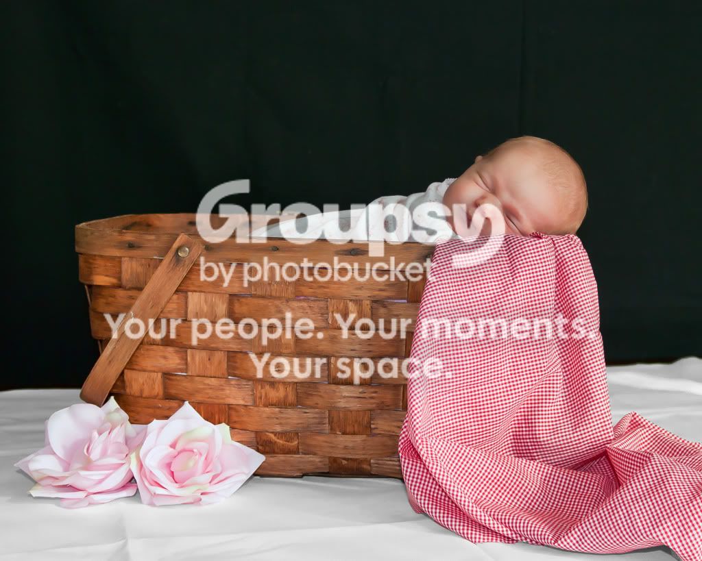 picnicbasket.jpg