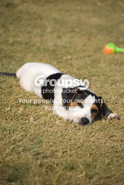 DSC_0029_2.jpg