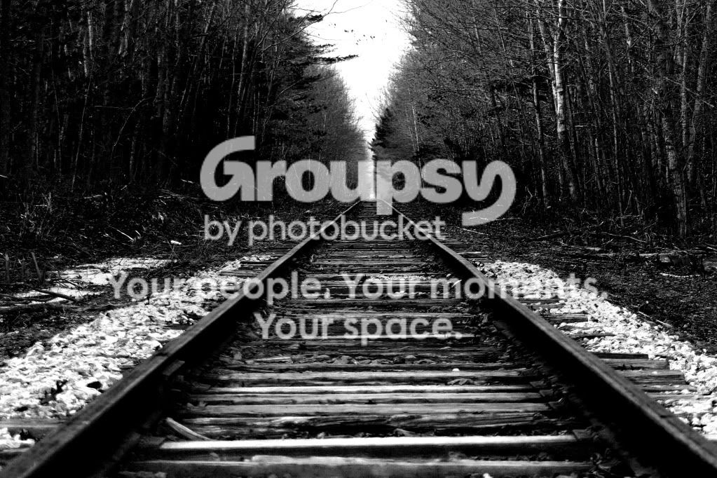 ThePath.jpg