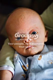 bradley2mo.jpg