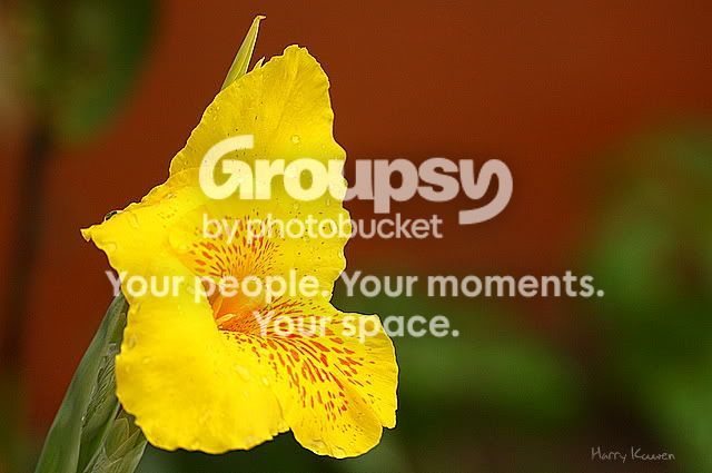 IMG_8085.jpg