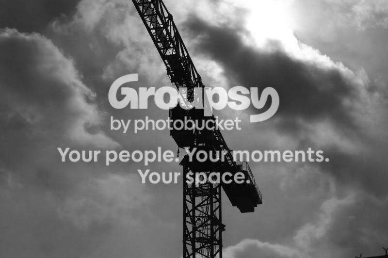 crane_bw800.jpg