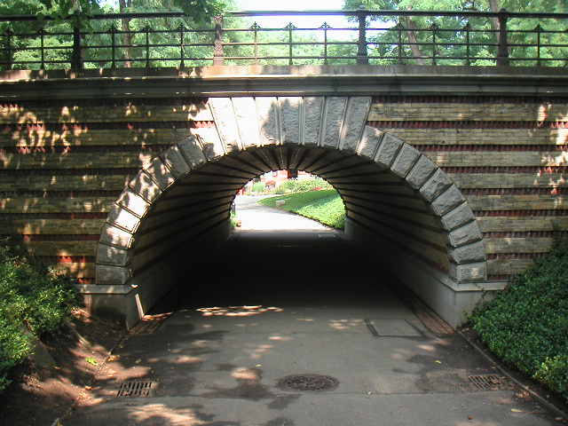 CP010-11.jpg