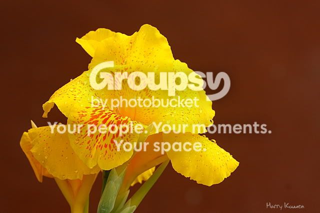 IMG_8421.jpg