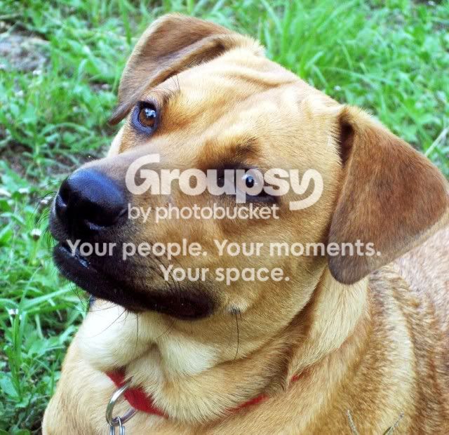 Copyof100_4378.jpg