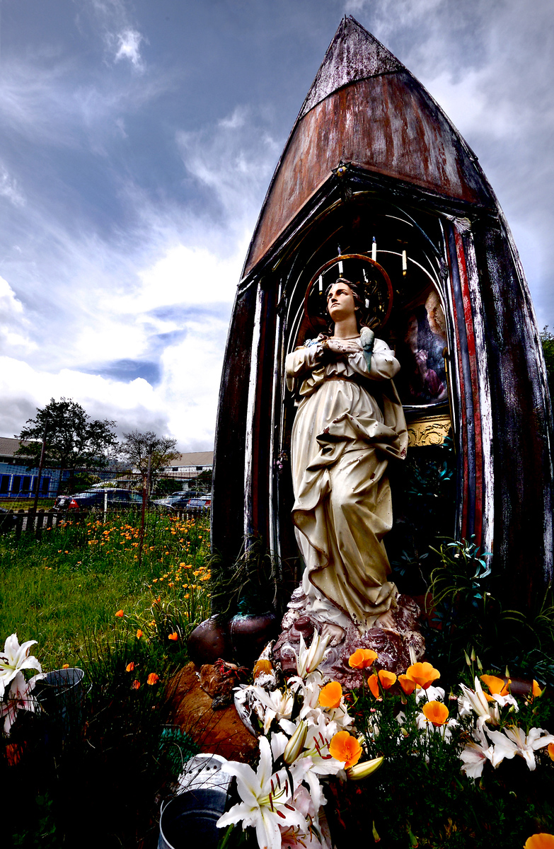 DSCF2680-X3.jpg
