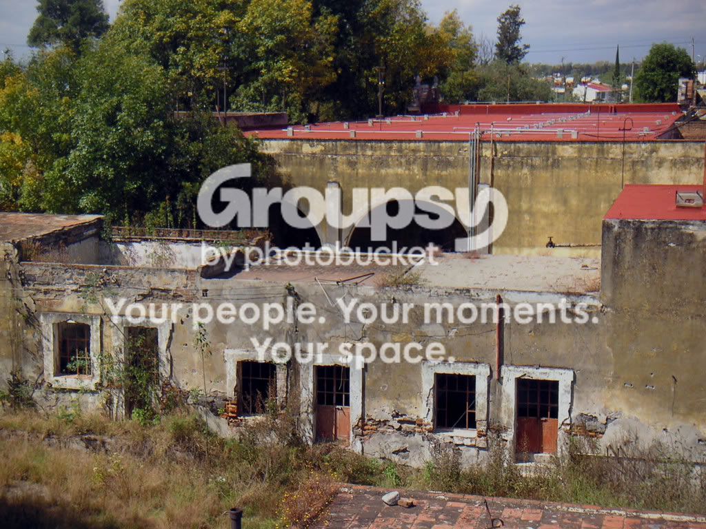PICT0001.jpg