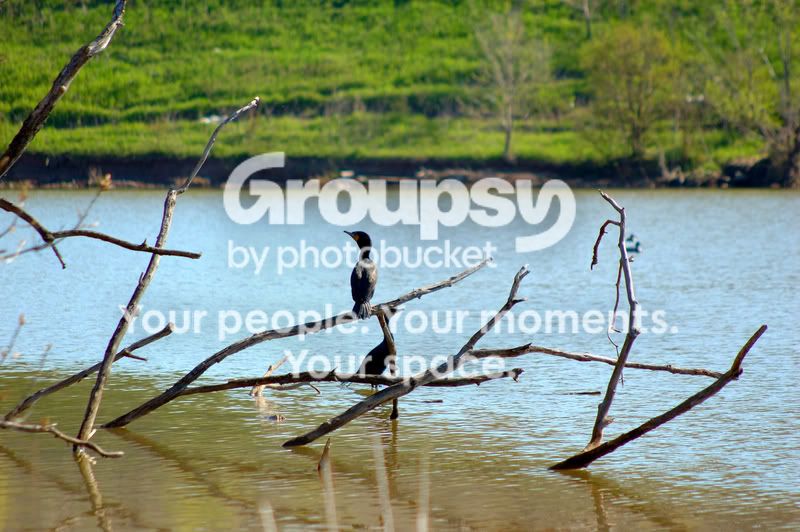 DSC_8078.jpg